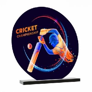 Budget Cricket Trophy