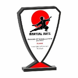 Budget Martial Arts Trophy