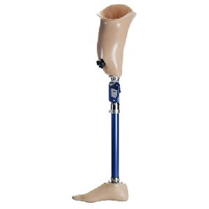 Functional Knee Prosthesis