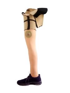 Knee Artificial Limbs