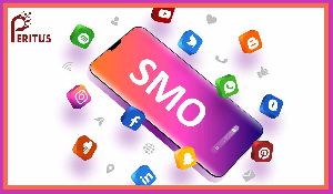 SMO company in Noida | SMO services | SMO Agency | Social Media Optimaztion Services In Noida