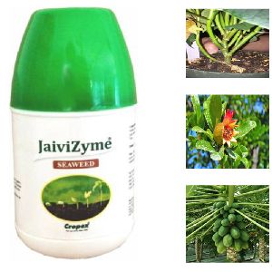 JaiviZyme Seaweed Biostimulant