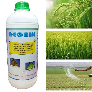 Regain Organic Fertilizer