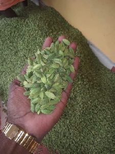 cardamom seeds