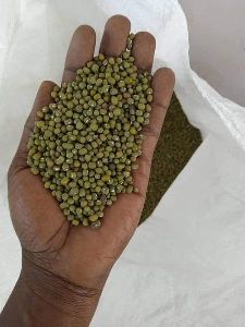top quality mung beans
