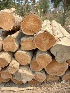 honne wood