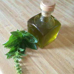 Holy Basil Oil