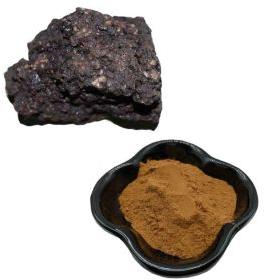 shilajit extract