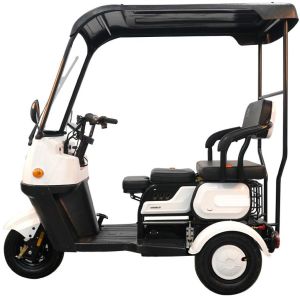 electric tricycle