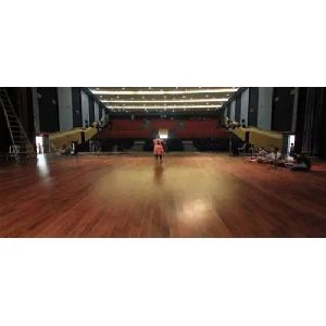 Auditorium Soundproofing