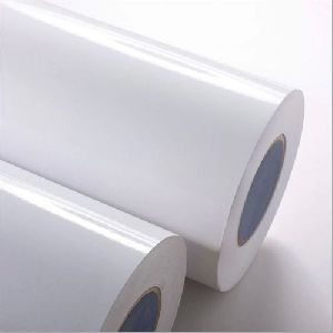 Cast Coated Label Stock