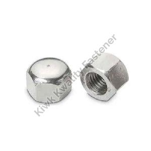 Stainless Steel Nuts