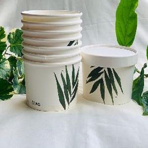 Printed Paper Food Containers