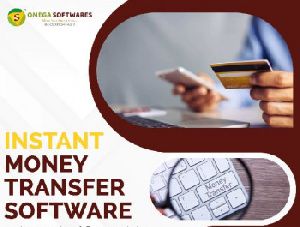domestic money transfer softwares development