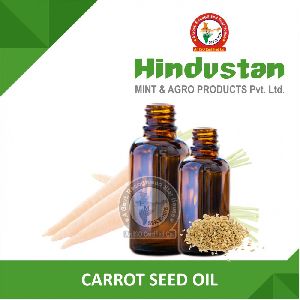 Carrot Seed Oil