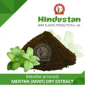 mentha dry extract