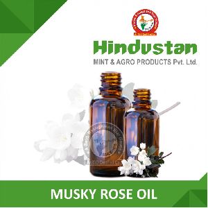 Musky Rose Oil