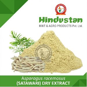 Shatavari Dry Extract