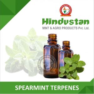 Spearmint Terpenes