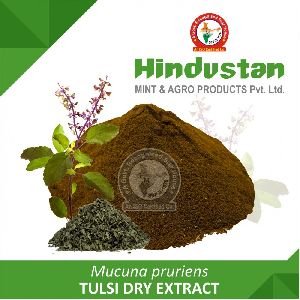Tulsi Dry Extract
