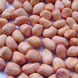 peanut seeds