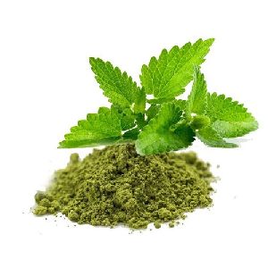 tulsi powder