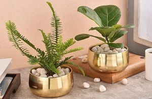 Planter Set