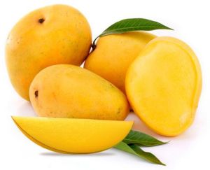 alphonso mango