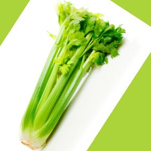 Classy Celery Root