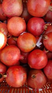 nashik pomegranate