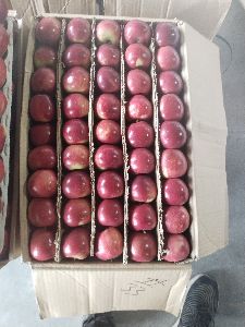 Shimla apples