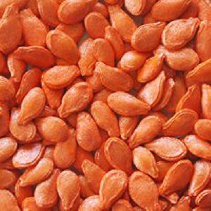 Ash Gourd Seed Coating Polymers