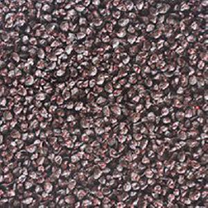 Onion Seed Coating Polymers