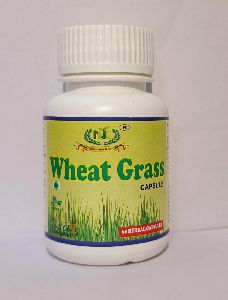 Wheat grass Capsules