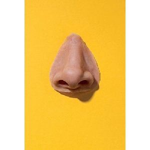 Silicone Nose Prosthesis