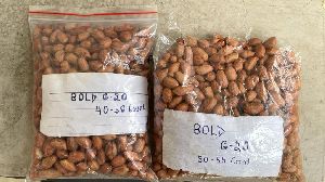 Peanuts All Grades  (Java/BOLD /Tj) Gujrat &amp;amp; Rajasthan supply