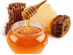 Forest Honey-