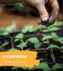 Ayurveda Training Course