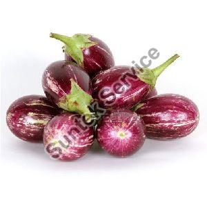 fresh brinjal