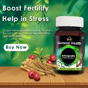 CIPZER Ashwagandha Capsule helps to improve your sexual stamina &amp;amp; sexual act 60 Capsules in a bottle