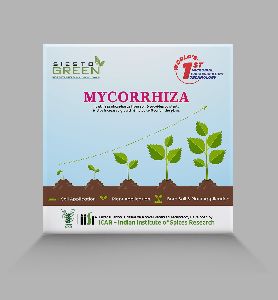 Mycorrhiza Biofertilizer Capsules