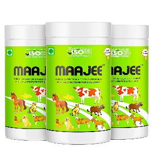 Maajee -animal Nutrition & Feed Supplement Pack Of 3 (908gm)