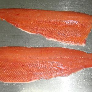 Fresh Frozen Salmon Fish
