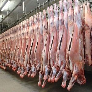 Whole Frozen Mutton / Sheep / Goat Carcass