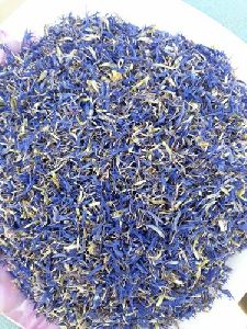 Dried Cornflower