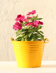 TABLE TOP AND HANGING BUCKET PLANTER