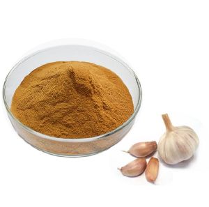 Allium Sativum Extract