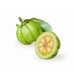 Garcinia Cambogia  Extract