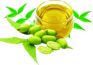 neem oil