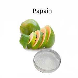 Papain Enzyme Powder